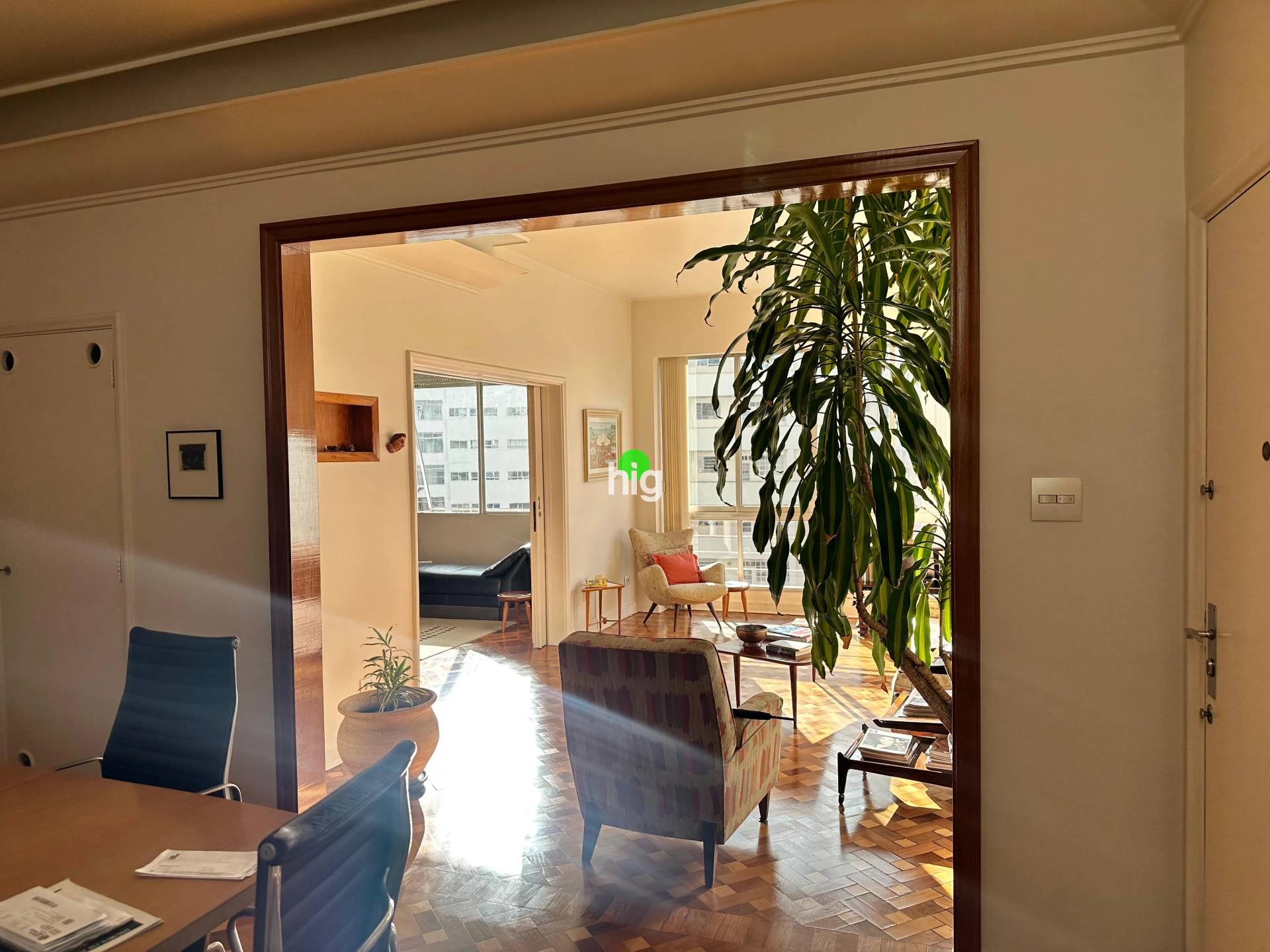 Apartamento lindo, de frente para o verde mais desejado de Higienópolis !  - 