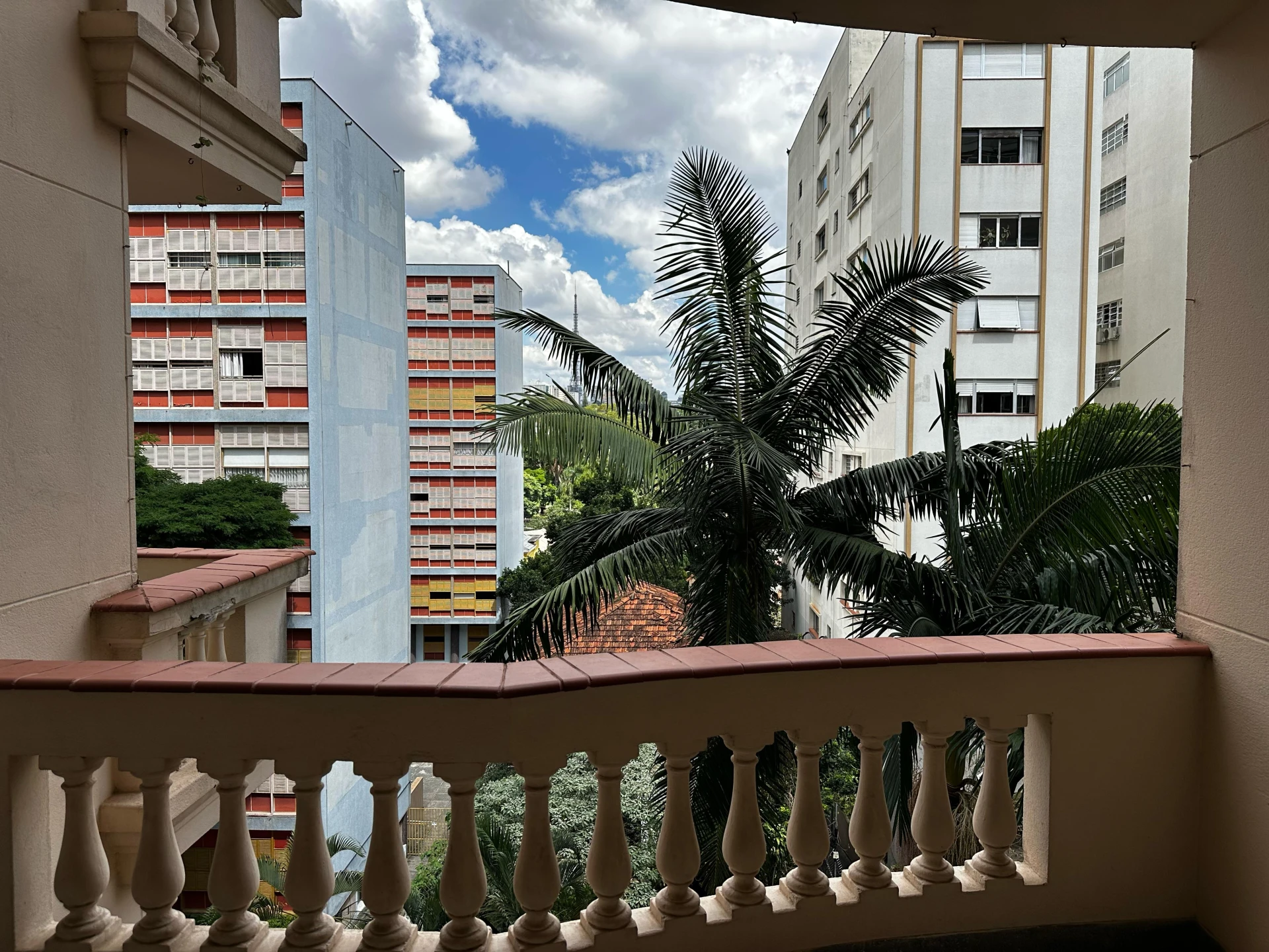 HIGIENÓPOLIS - RUA ARBORIZADA