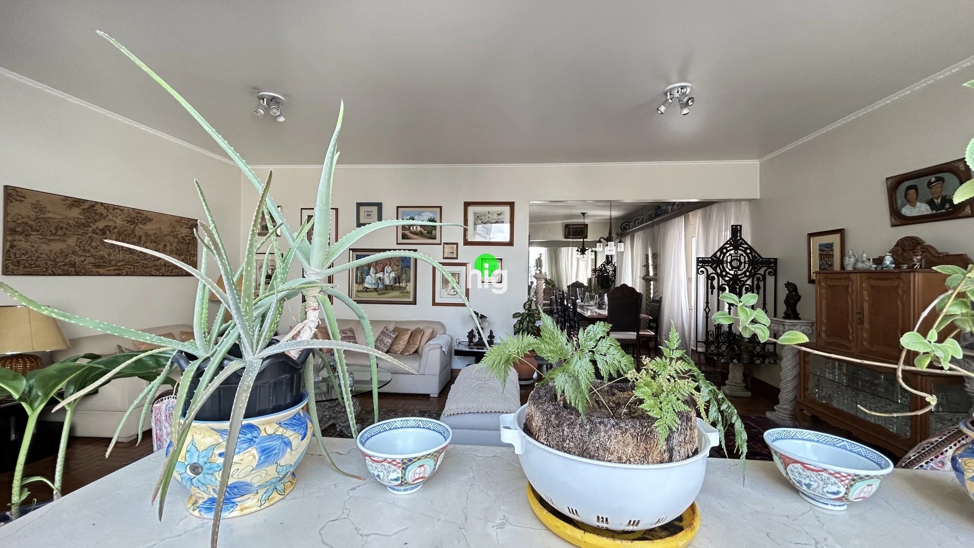 Apartamento em clássico do modernismo I Face norte I Excelente potencial de reforma - 